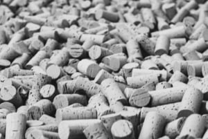 Tour privato di Cape Winelands - Giornata intera.