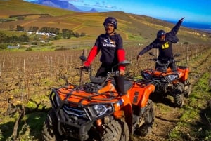 Ciudad del Cabo: Excursión en quad y cata de vinos