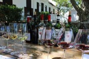 Città del Capo: Tour in quad e degustazione di vini