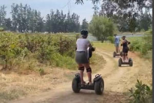 Cape winelands: SEGWAY off road and wine & cheese tour combo