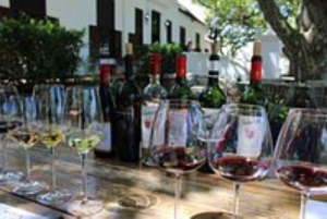 Cape Winelands: SEGWAY off road og vin- og ostetur-kombination
