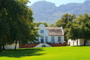 Cape Town: Paarl, Franschhoek & Stellenbosch Wine Tour
