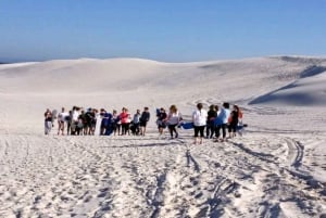 Ciudad del Cabo: Increíble excursión de sandboarding en hermosas dunas de arena