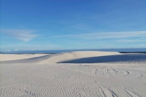 Kapkaupunki: Capetown: Hämmästyttävä hiekkalautailuretki kauniilla hiekkadyyneillä