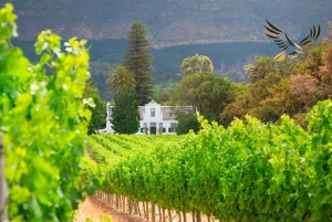 Kapstaden: Privat vinlandstur, Taffelberget och CapePoint