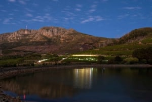 Privat vinresa till Kapstaden: Herrgårdstur, källartur ingår