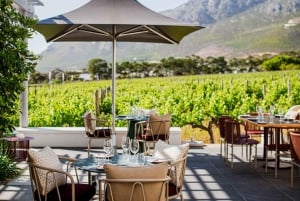 Capetown Private Wine Tour: Manor tour, cellar tour included