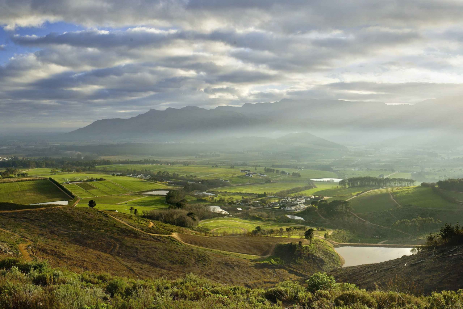 Capetown Winelands Half Day Tour with Local Guide
