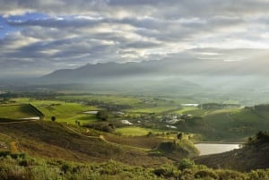 Från Kapstaden: Privat halvdagstur till Winelands med guide