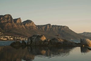Captivating City Tour: Table Mountain, Signal Hill, Bo-Kaap