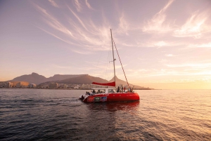 Cape Town: Catamaran Champagne Sunset Cruise