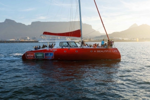 Cape Town: Catamaran Champagne Sunset Cruise