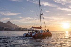 Cape Town: Catamaran Champagne Sunset Cruise