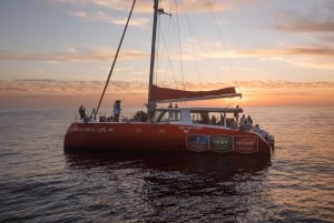 Cape Town: Catamaran Champagne Sunset Cruise