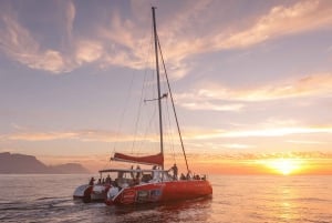 Cape Town: Catamaran Champagne Sunset Cruise