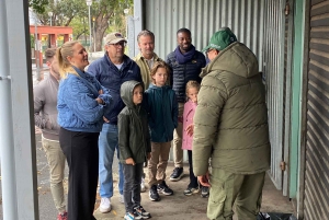 Chameleon Tour – Eine authentische kulturelle Tour in den Townships