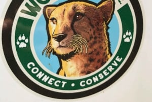 Cheetah, Giraffes Encounter, lion's park, and Wine Tasting