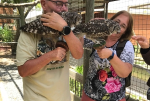 Cheetah, Giraffes Encounter, lion's park, and Wine Tasting