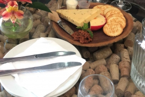 Cheetah, Giraffes Encounter, lion's park, and Wine Tasting