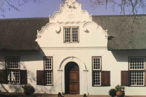 Cheetah, Giraffes Encounter, lion's park, and Wine Tasting