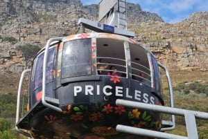 City tour: Table Mountain, Kirstenbosch e vinho