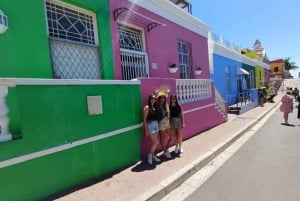 Bytur: Taffelbjerget, Kirstenbosch og vin