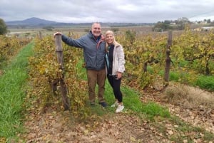 City tour: Table Mountain, Kirstenbosch e vinho