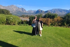 City tour: Table Mountain, Kirstenbosch e vinho