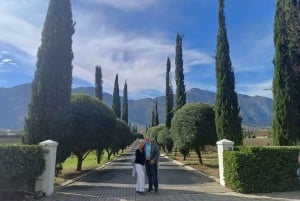 City tour: Table Mountain, Kirstenbosch e vinho