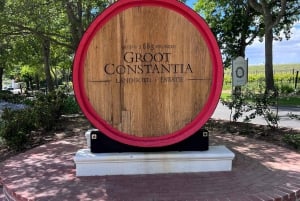 Constantia puoli päivää viininmaistelu retki