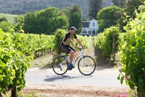 Constantia Wine Valley Bicycle Tour