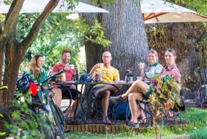 Constantia Wine Valley Bicycle Tour