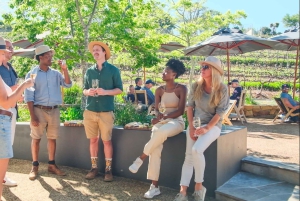 Constantia: Vintur med lunsj og fortryllende historier