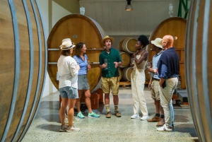 Constantia: Vintur med lunsj og fortryllende historier