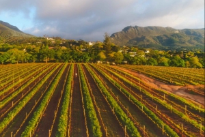 Constantia: Vintur med lunsj og fortryllende historier