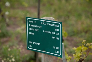 Constantia: Vintur med lunsj og fortryllende historier