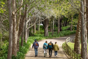 Constantia: Vintur med lunsj og fortryllende historier