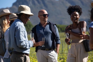 Constantia: Vintur med lunsj og fortryllende historier