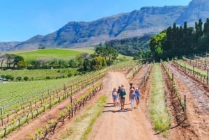 Constantia: Wine Walk with Lunch and Enchanting Stories