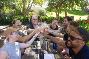 Constantia: Wine Walk with Lunch and Enchanting Stories