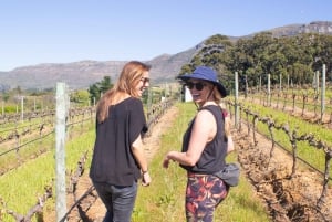 Città del Capo: Passeggiata a Constantia con cibo, vino e storia