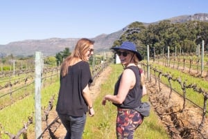 Constantia: Wine Walk with Lunch and Enchanting Stories