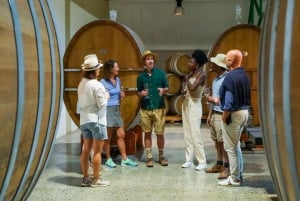 Constantia: Wine Walk with Lunch and Enchanting Stories