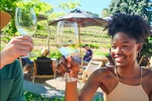 Ciudad del Cabo: Icónico paseo gastronómico, vinícola y de historias de Constantia