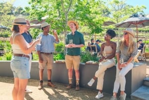 Kapstaden: Ikoniska Constantia Food, Wine and Story Walk