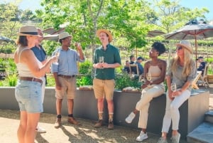Constantia: Wine Walk with Lunch and Enchanting Stories