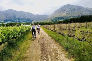 Constantia: Winelands Bike Tour