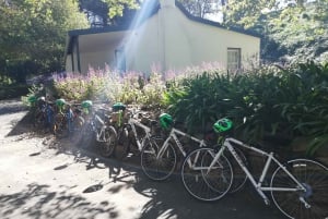Constantia : Visite privée à vélo dans les vignobles