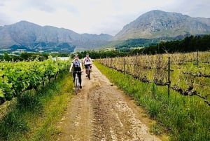Constantia: Privat cykeltur till Winelands