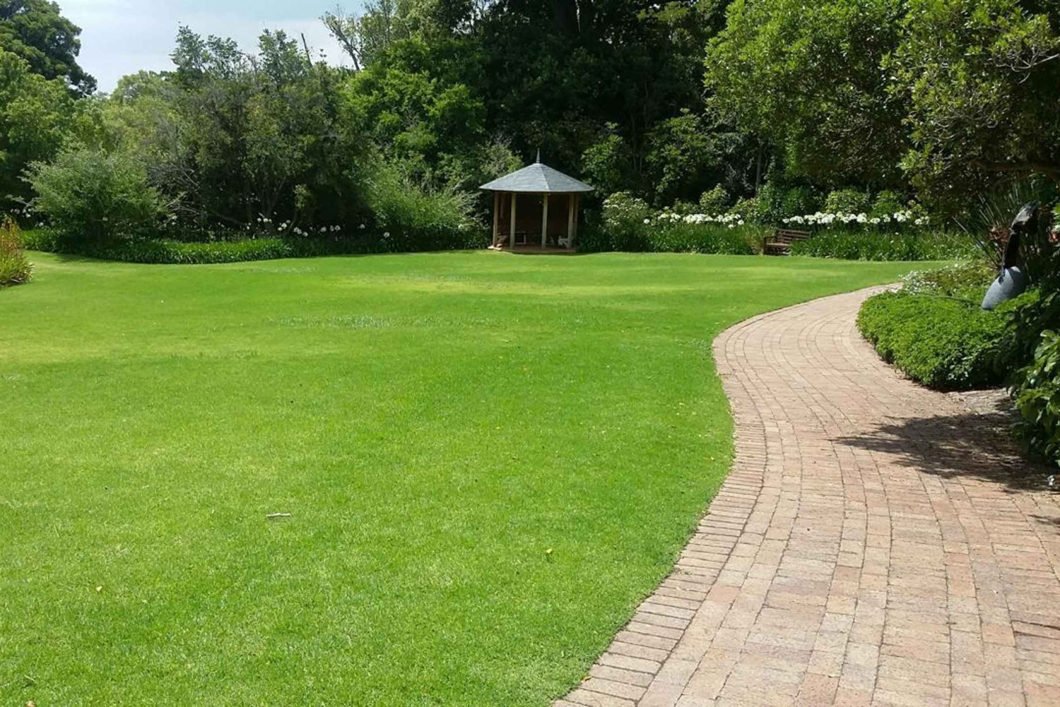 CT: Gepardy, duże koty i winnice